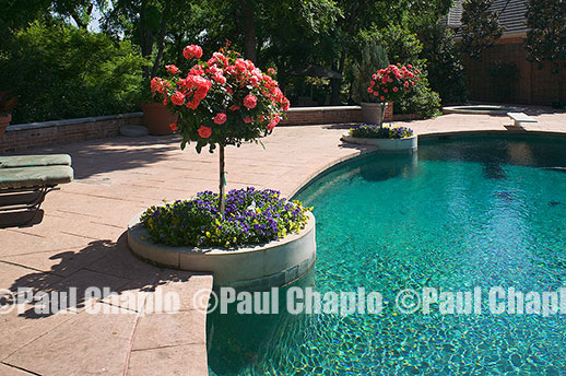 garden landscape architecture digital photographers Dallas, TX Texas Architectural Photography garden design